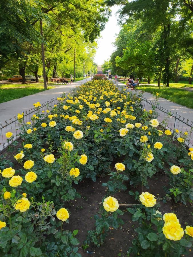 1-Комн. Квартира В Центре Возле Козак Палаца! Zaporizhia Exterior photo